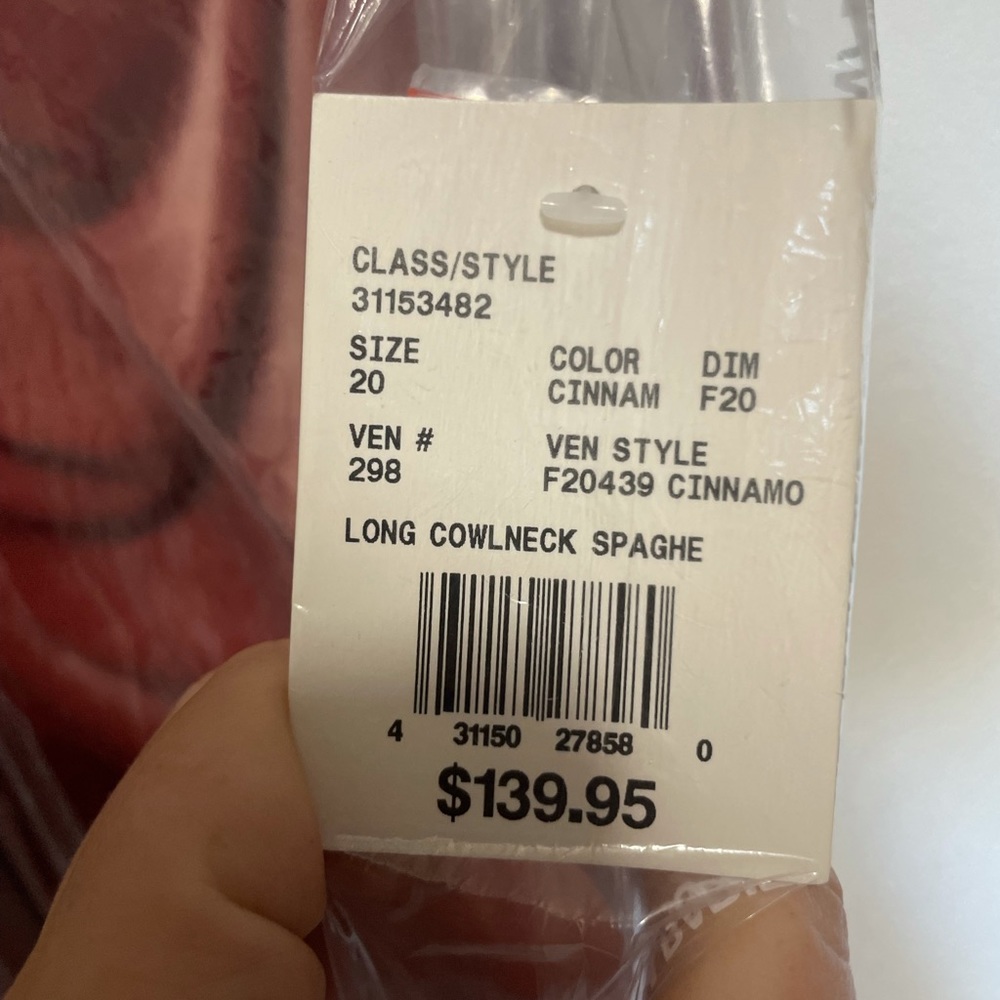 David’s Bridal cinnamon velvet dress.